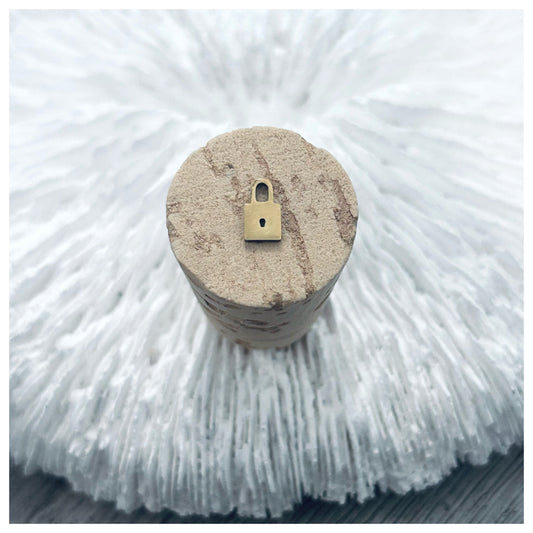 GOLD LOCK CHARM
